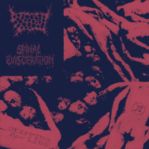 The Personification Of Pleasure : Clipping for Lies